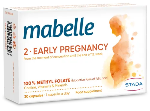 Early pregnancy